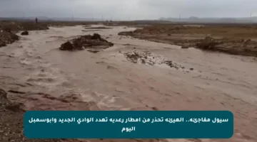 سيول مفاجئة.. الهيئة تحذر من أمطار رعدية تهدد الوادي الجديد وأبوسمبل اليوم